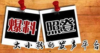 重庆三相电最新爆料,揭秘行业变革与未来趋势